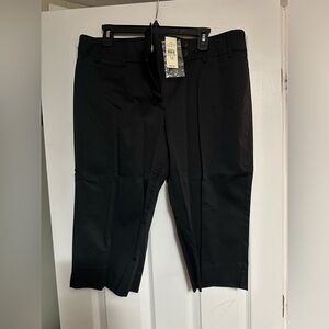 Ann Taylor Loft Pedal Pusher